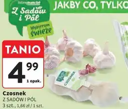 Intermarche Czosnek oferta