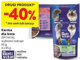 Intermarche Karma dla kota OPTIVITAL wybrane rodzaje oferta