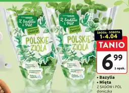Intermarche Bazylia, Mięta oferta