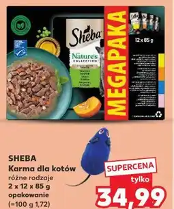 Kaufland SHEBA Karma dla kotów oferta