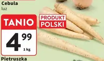 Intermarche Pietruszka oferta