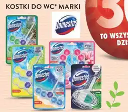 Intermarche Kostki do WC marki Domestos oferta