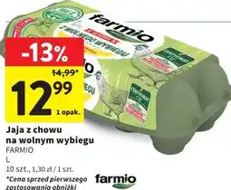 Intermarche Jaja z chowu na wolnym wybiegu FARMIO L 10 szt oferta