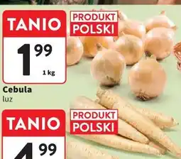 Intermarche Cebula oferta