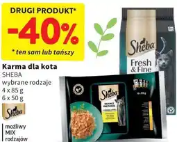 Intermarche Karma dla kota SHEBA wybrane rodzaje oferta