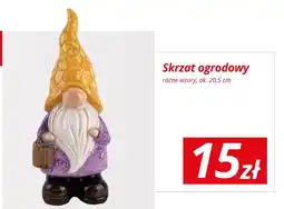 KiK Skrzat ogrodowy różne wzory oferta