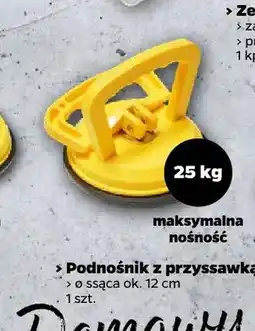 Netto Podnośnik z przyssawką maks. nośność oferta