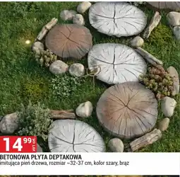 Merkury Market Płyta betonowa oferta