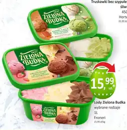Orzech Lody Zielona Budka Froneri oferta