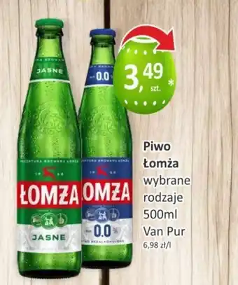 Orzech Piwo Łomża Van Pur oferta