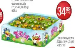 Pokusa Cukierki wiosna zozole owce luz mieszko oferta