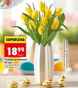 Biedronka Tulipan premium oferta