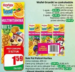 Dino Sok Psi Patrol różne rodzaje oferta