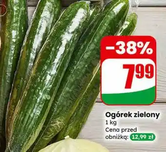 Dino Ogórek zielony oferta