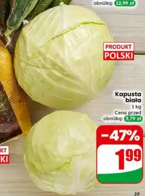 Dino Kapusta biała oferta