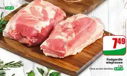 Dino Podgardle wieprzowe oferta