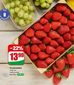 Dino Truskawka oferta