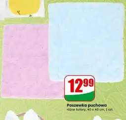 Dino Poszewka puchowa oferta