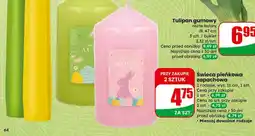 Dino Świeca pieńkowa zapachowa oferta