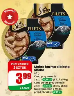 Dino Mokra karma dla kota Filets oferta