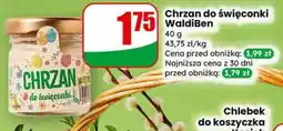 Dino Chrzan do święconki WaldiBen oferta