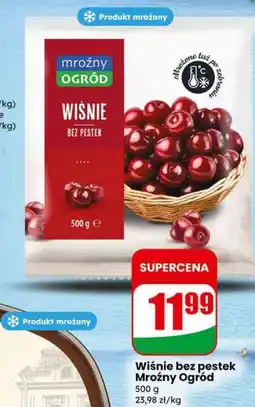 Dino Wiśnie bez pestek Mroźny Ogród oferta