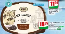 Dino Lody Jak Dawniej Koral oferta