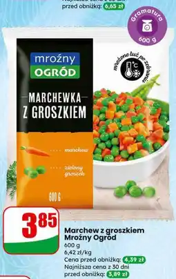 Dino Marchew z groszkiem Mroźny Ogród oferta