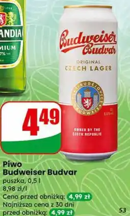Dino Piwo Budweiser Budvar puszka oferta