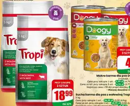 Dino Sucha karma dla psa z wołowiną Tropi oferta