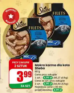 Dino Mokra karma dla kota Sheba oferta