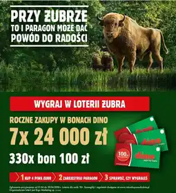 Dino Piwo Żubr oferta