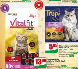 Dino Sucha karma dla kota Vitalfit Adult oferta