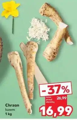 Kaufland Chrzan, luzem 1 kg oferta