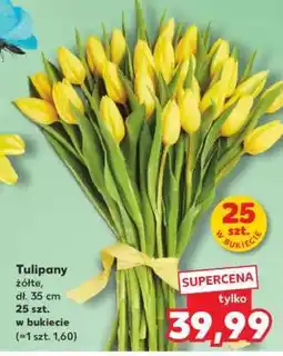 Kaufland Tulipany oferta