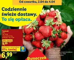 Lidl Truskawki oferta