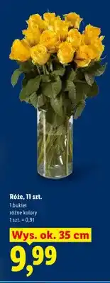 Lidl Róże, 11 szt., różne kolory oferta