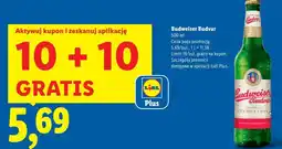 Lidl Budweiser Budvar Piwo oferta
