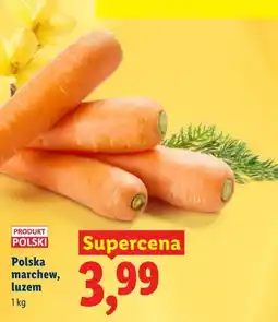 Lidl Polska marchew, luzem oferta