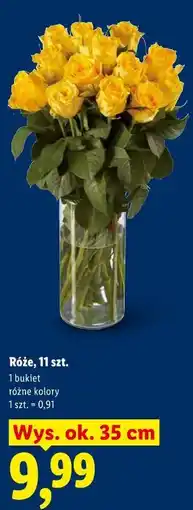 Lidl Róże, 11 szt oferta