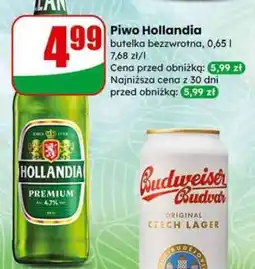 Dino Piwo Hollandia oferta