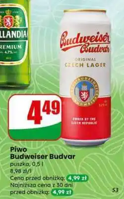 Dino Piwo BUDWEISER BUDVAR oferta