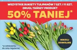 Netto Bukiety tulipanów 7 szt. i 11 szt oferta