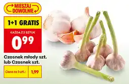 Biedronka Czosnek młody szt. lub Czosnek szt oferta