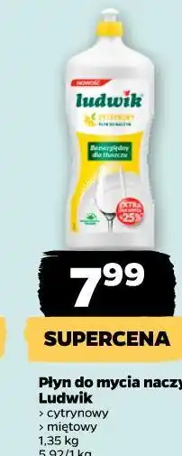 Netto Płyn do mycia naczyń Ludwik oferta