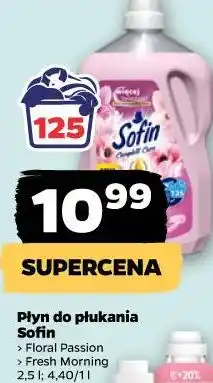 Netto Płyn do płukania Sofin oferta