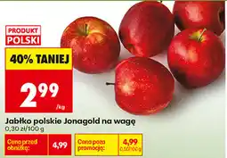 Biedronka Jabłko polskie Jonagold na wagę oferta