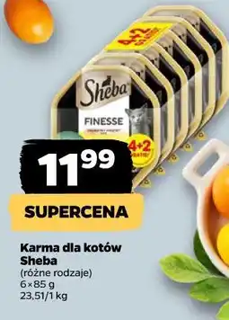 Netto Karma dla kotów Sheba oferta