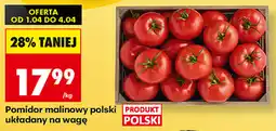 Biedronka Pomidor malinowy polski układany na wagę oferta