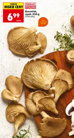 Biedronka Boczniak, opak oferta